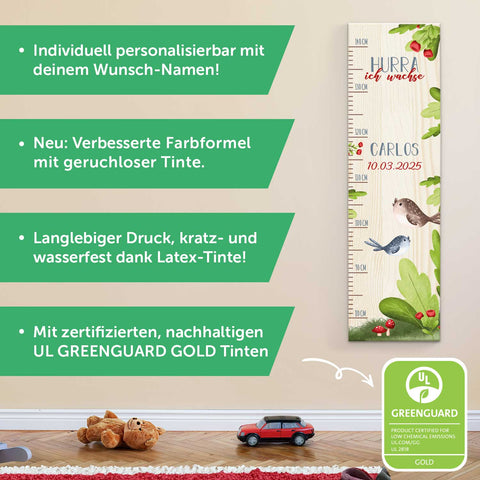 Messlatte mit Namen für Kinder im Vögel Design