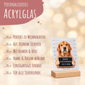Plätzchendieb auf Acrylglas - Personalisiertes Geschenk mit Deinem Tierfoto zu Weihnachten GRAVURZEILE – Bild 7