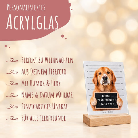 Plätzchendieb auf Acrylglas - Personalisiertes Geschenk mit Deinem Tierfoto zu Weihnachten GRAVURZEILE – Bild 7