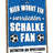 Farbe Schalke