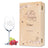 Farbe kleine Kiste UV