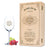 Farbe Daily UV mit Holzkiste